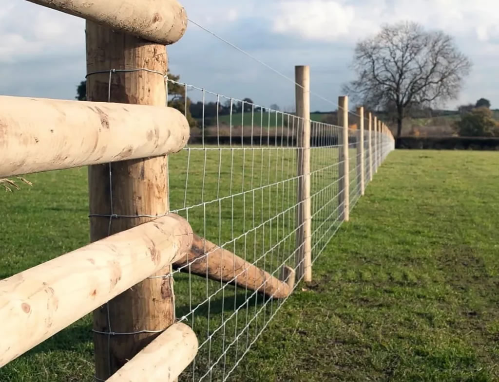 Post and strut fence showing posts and diagonal struts on the owner's side of the boundary